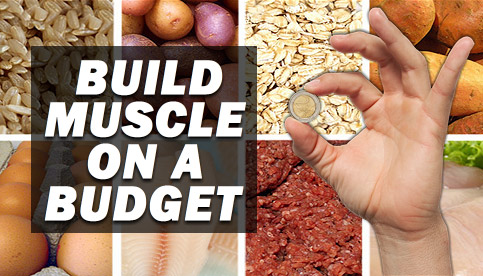 Budget food for gaining muscle mass