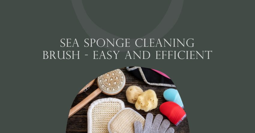 cleaning a sea sponge